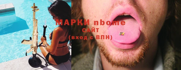 хмурый Покачи
